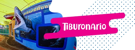 balneario y parque acuatico splash