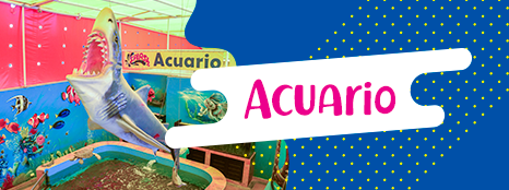 balneario y parque acuatico splash