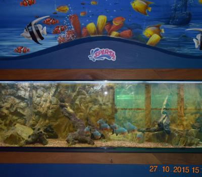 Parque acuatico en Vallarta