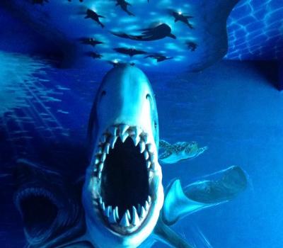 Parque acuatico en Vallarta