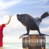 Parque acuatico en la riviera nayarit