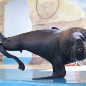 Parque acuatico en la riviera nayarit