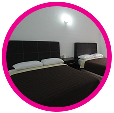 habitaciones en hotel splash inn leon